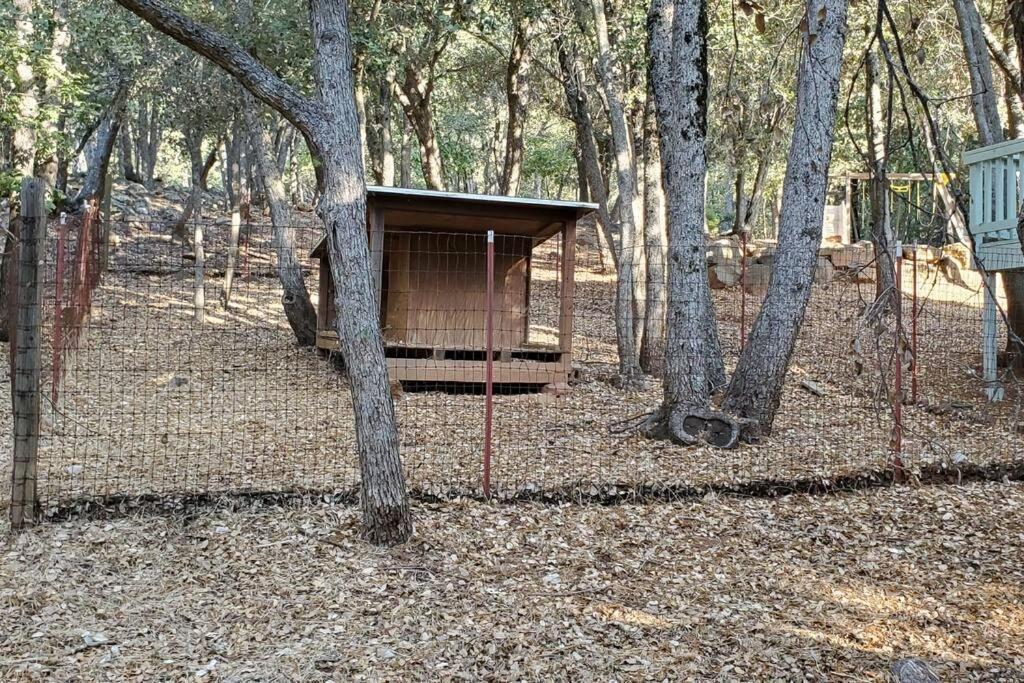 Pine Hills Cabin In Джулиан Екстериор снимка
